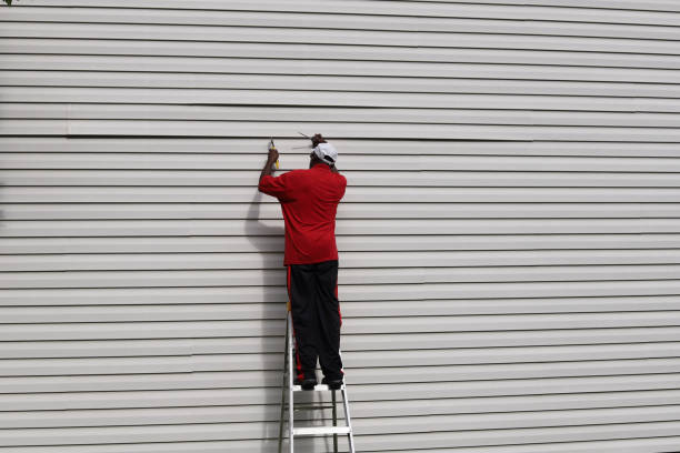 Best Steel Siding Installation  in Jackson, SC